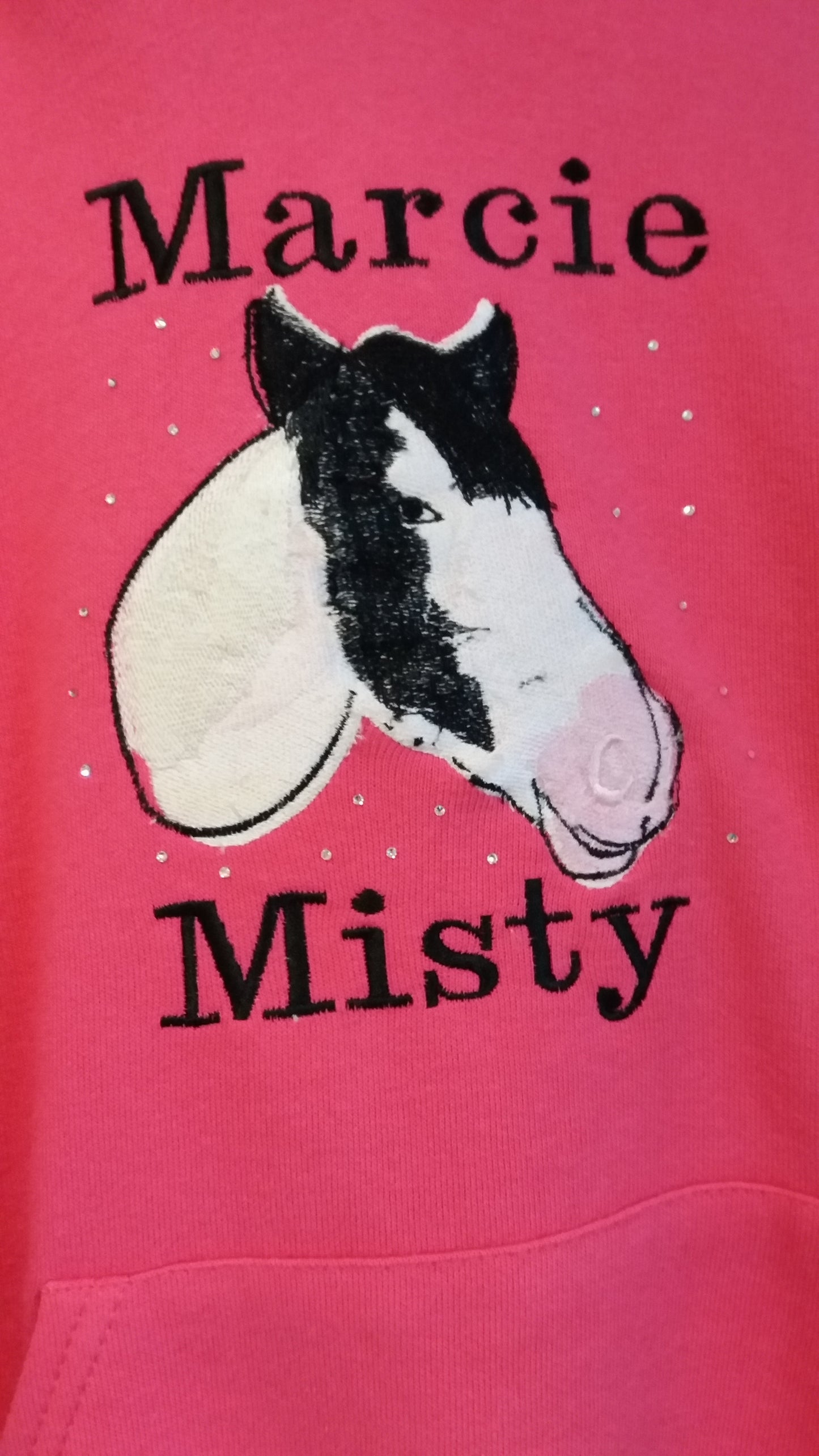 Personalised Horse hoodie (adult size ): horse photo embroidery