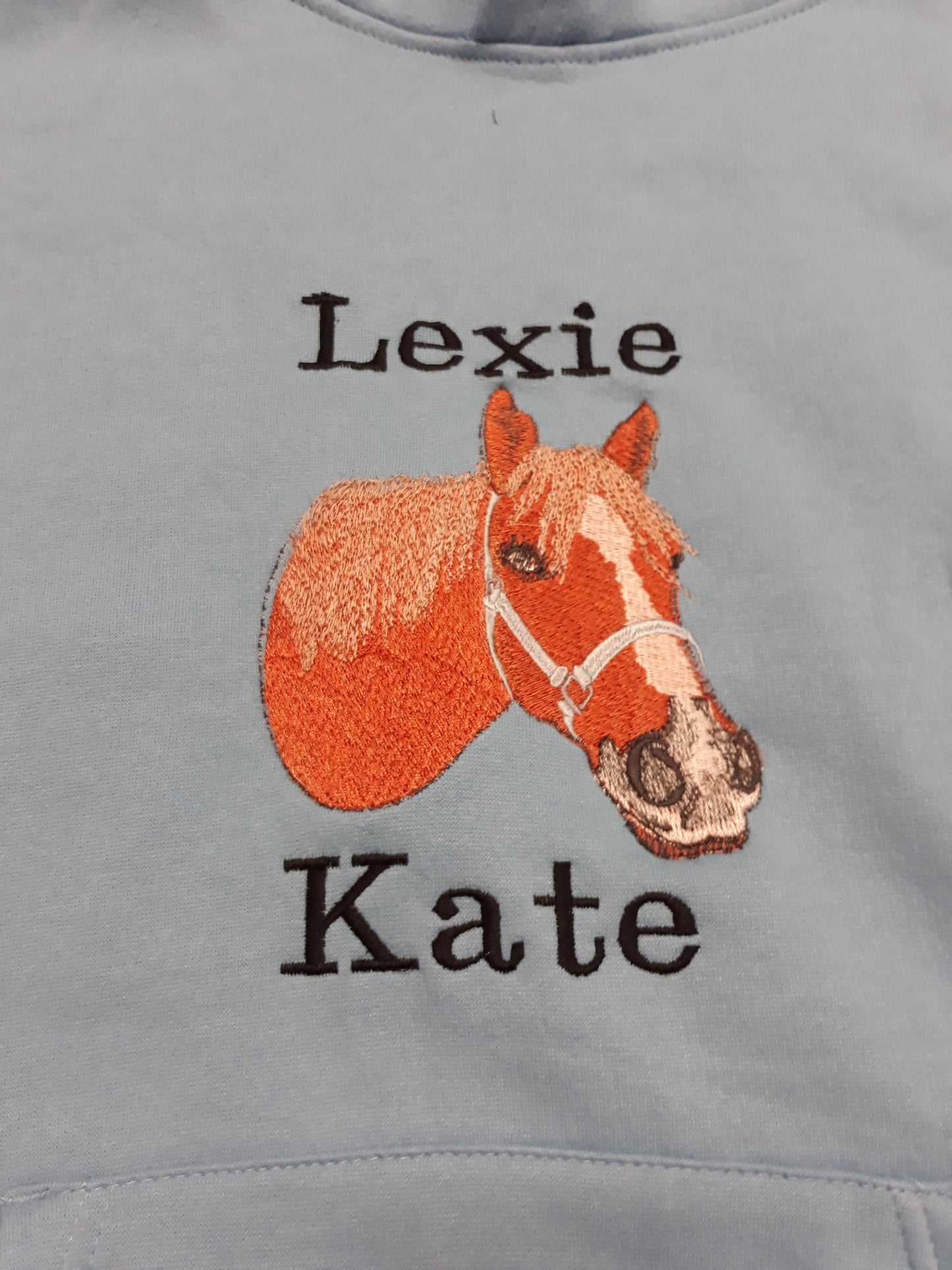 Personalised equestrian hoodie, kids horse hoodie, photo embroidery of horse, personalised saddlecloths