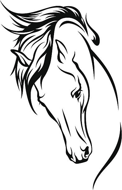horse head  design