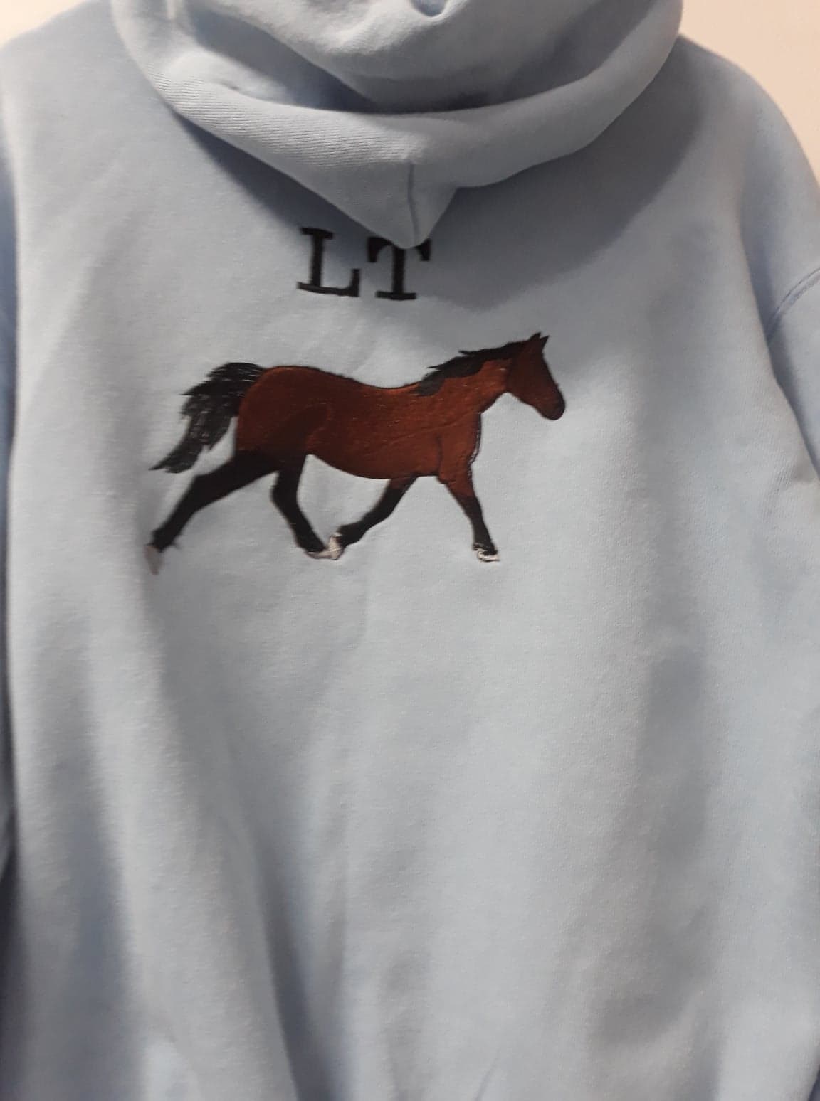 Kids horse photo hoodie (Full image)